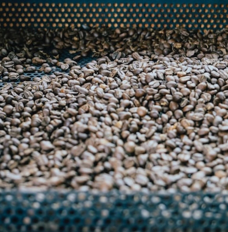 ARABICA  FULL WASHED