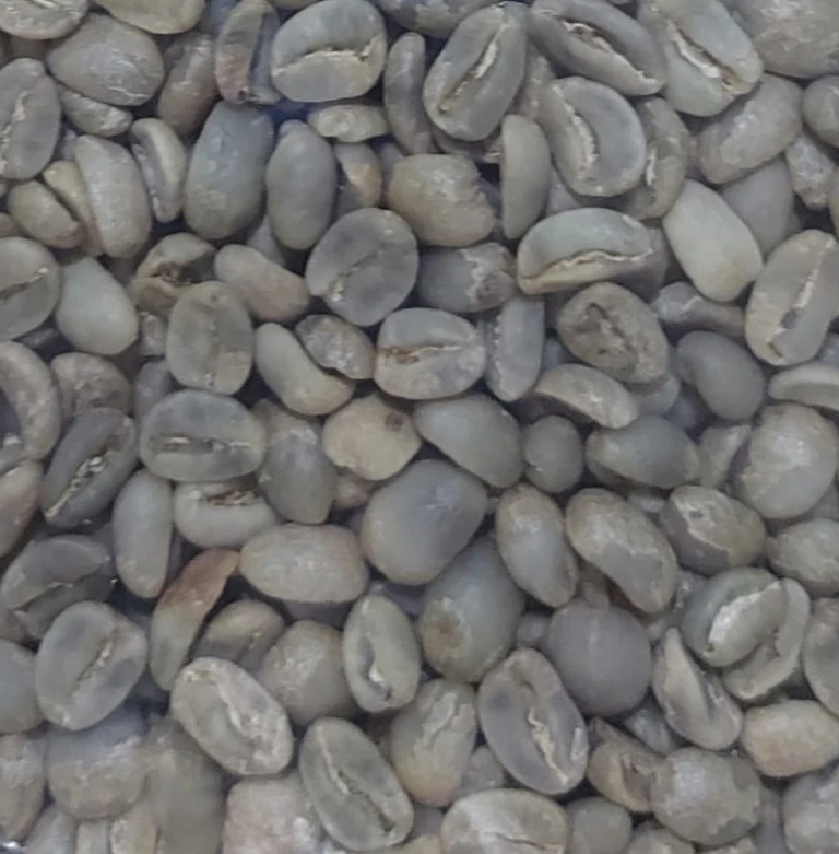 Arabica Bengkulu
