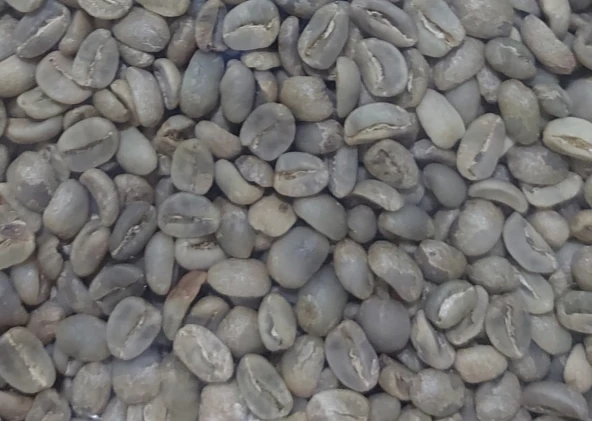 Products Arabica Bengkulu 1 ~blog/2023/7/10/arabica