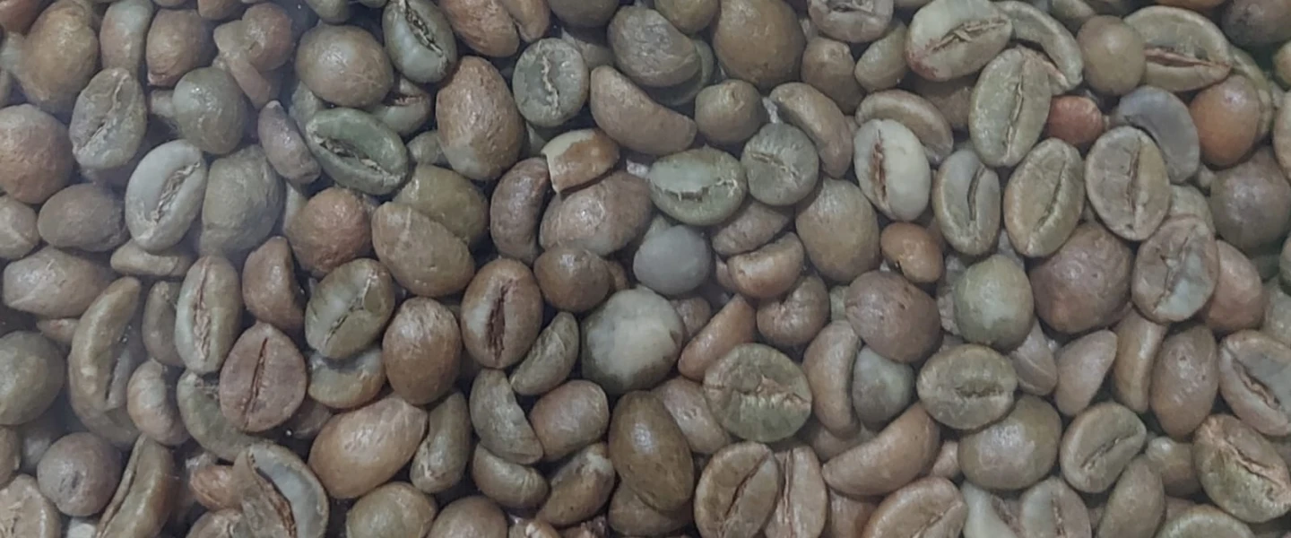 Beromt Coffee Nusantara