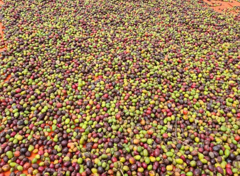 Product Managers To Update coffee